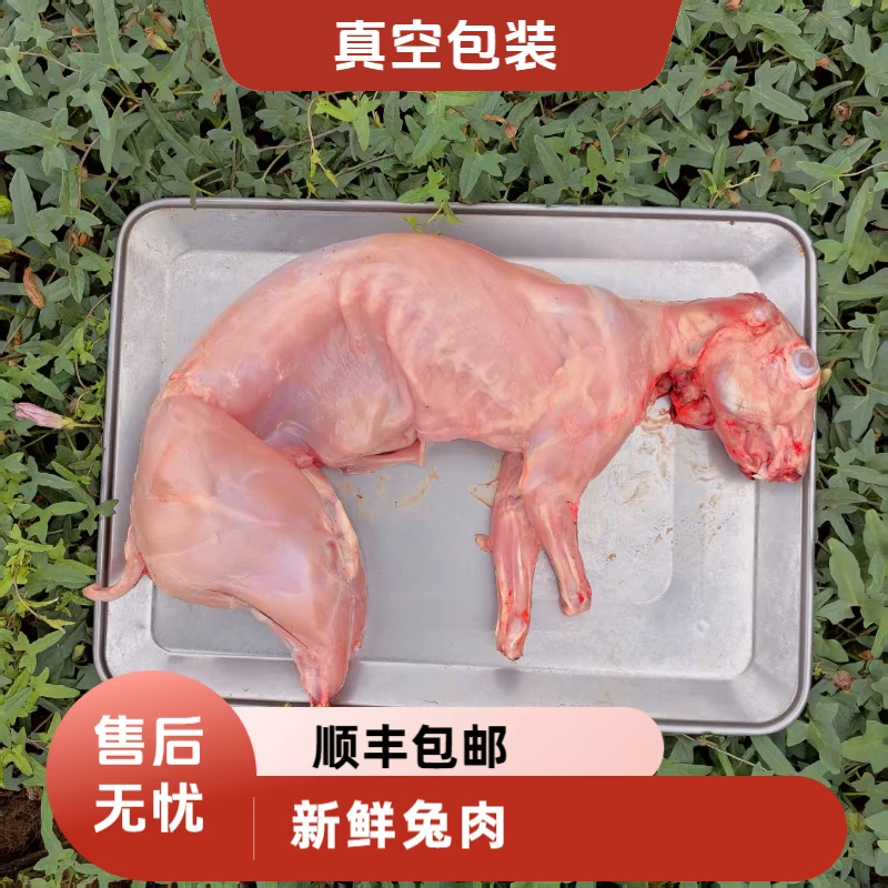 新鲜兔肉肉质鲜嫩整只现杀兔子肉鲜兔肉真空包装食用速冻发货生鲜