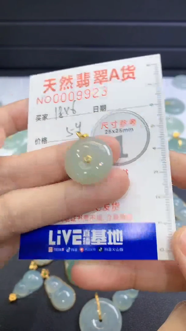 【闪购商品】翡翠颈饰未镶嵌翡翠