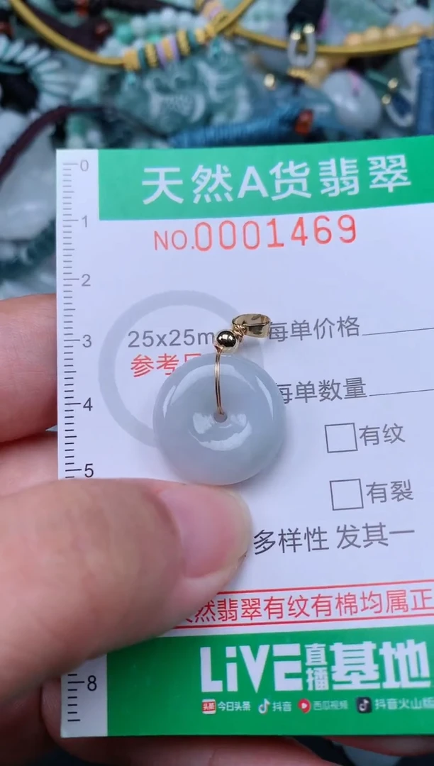 翡翠未镶嵌颈饰.0001469