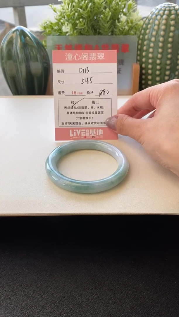 未镶嵌手镯翡翠圈口54.5编码D113