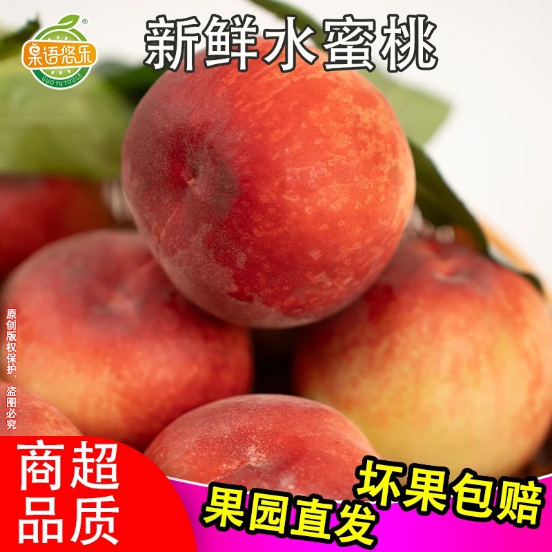 【现摘现发】正宗水蜜桃新鲜现摘脆软两吃应季水果产地直发坏果包赔