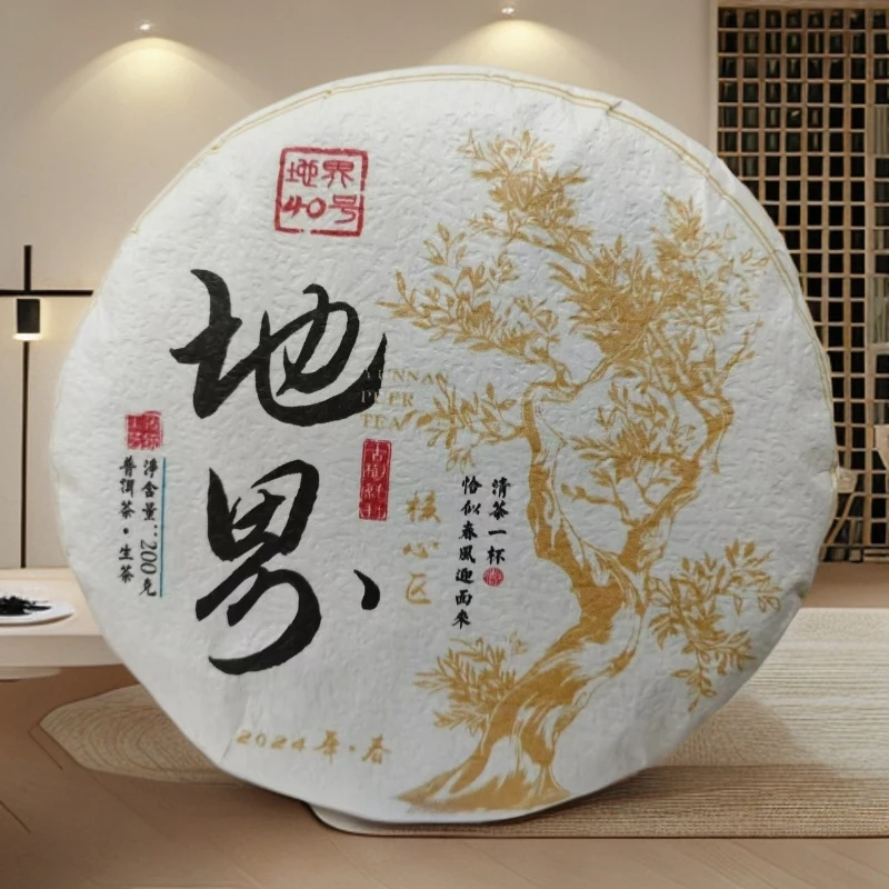 冰岛地界40号核心区纯古树饼茶2024年春