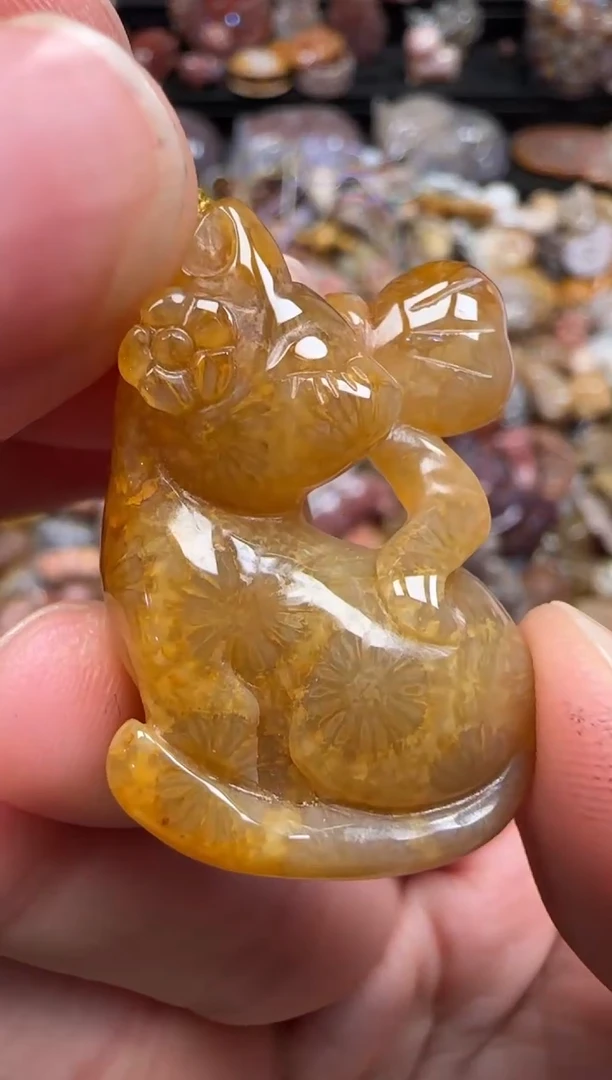 硅化珊瑚（珊瑚玉）未镶嵌颈饰099