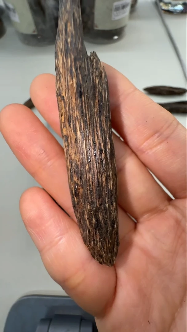 沉香沉香香囊②6g日本回流芽庄黑棋沉水树芯油原料19012167