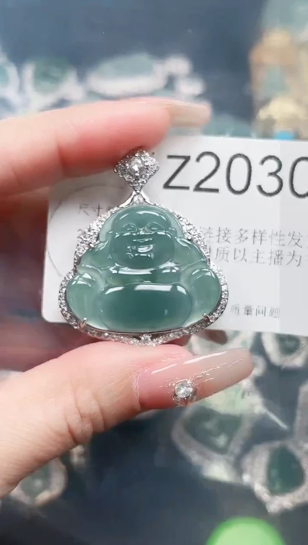 【闪购商品】翡翠颈饰未镶嵌赠皮绳2030