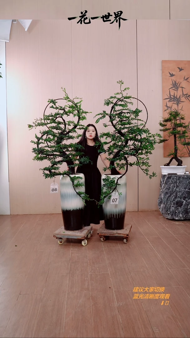 无花朵龙?两颗花好月圆链接