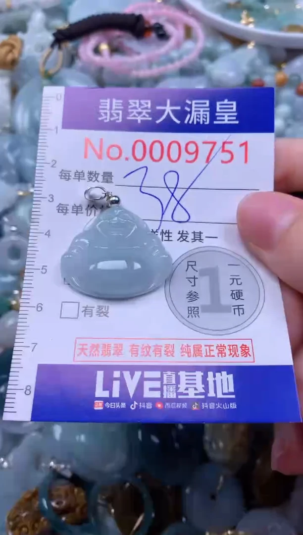 翡翠未镶嵌吊坠(不含链)9751