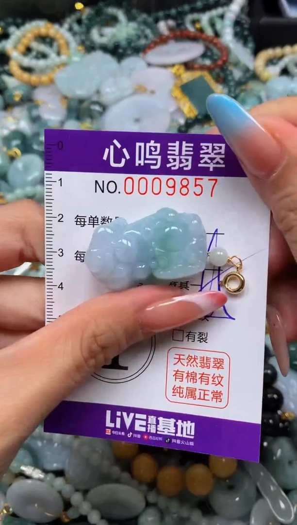 翡翠未镶嵌颈饰闪购009857