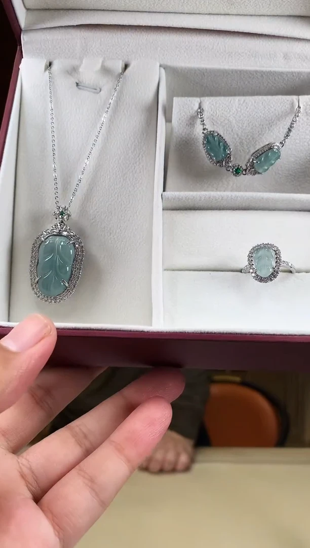 【闪购商品】翡翠颈饰未镶嵌              *d10