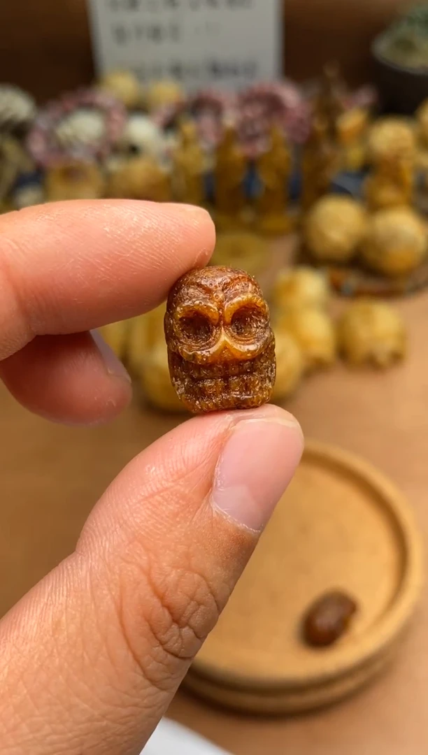 其他牛骨P900-满髓尸驼林