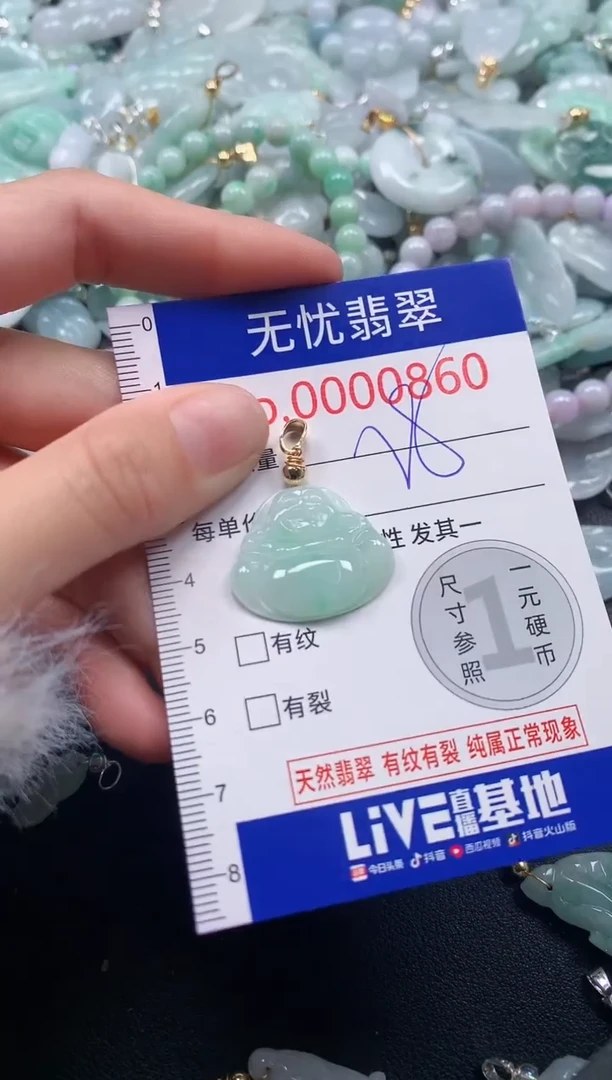 吊坠(不含链)未镶嵌翡翠860