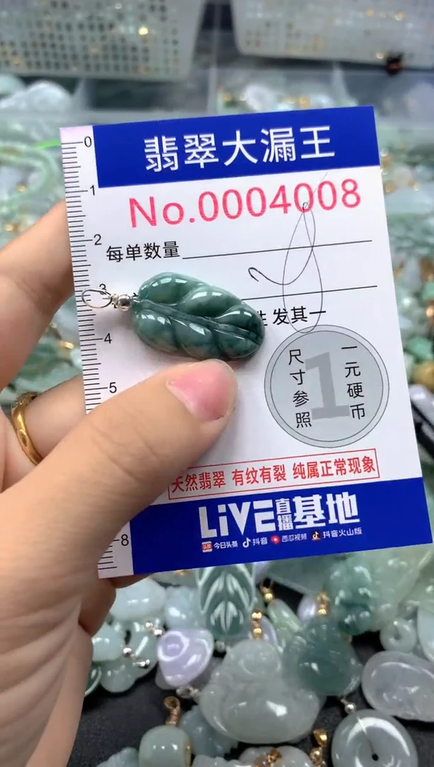 颈饰未镶嵌翡翠4008