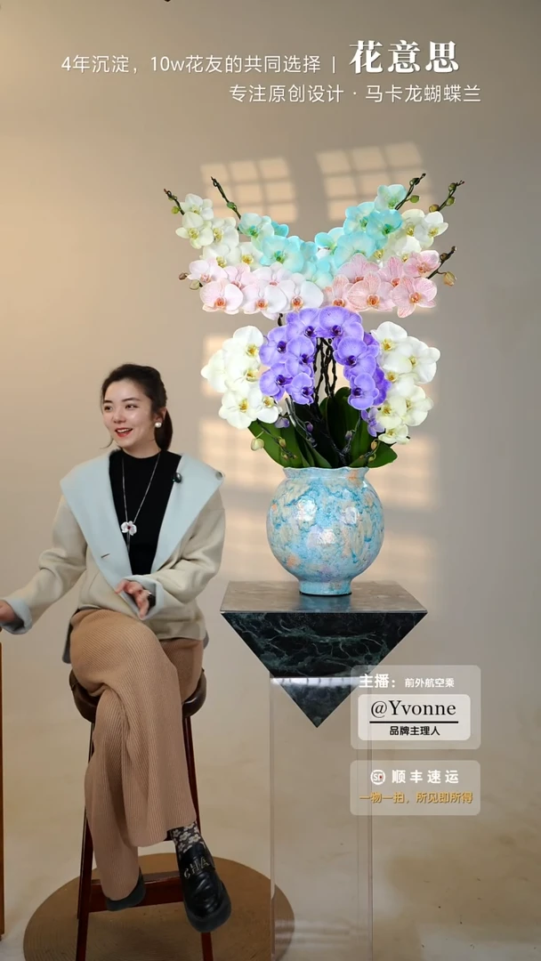 全部花朵025一物一拍蝴蝶兰艺术盆景