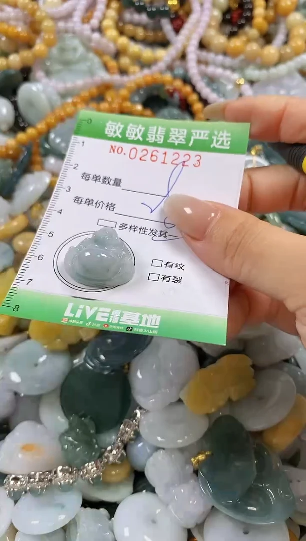 翡翠未镶嵌颈饰闪购0261223