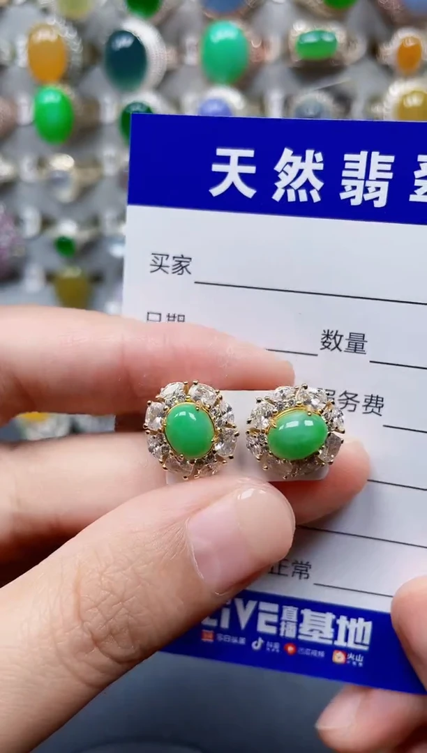 银S925镶嵌翡翠耳饰450