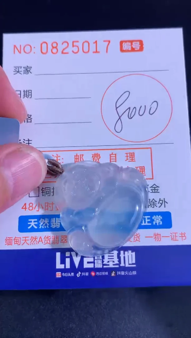 翡翠未镶嵌颈饰天然A货翡翠