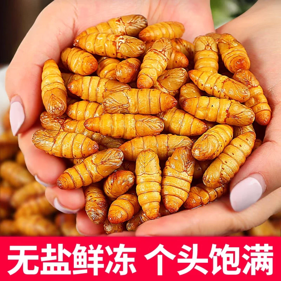 【活动3斤】新鲜金丝蛹速冻冷冻肉质肥厚个头饱满产地直发一斤260粒