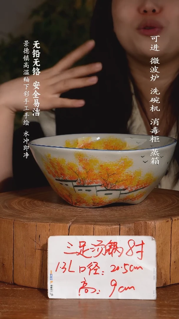 碗陶瓷景德镇高温瓷釉下彩手绘陶瓷