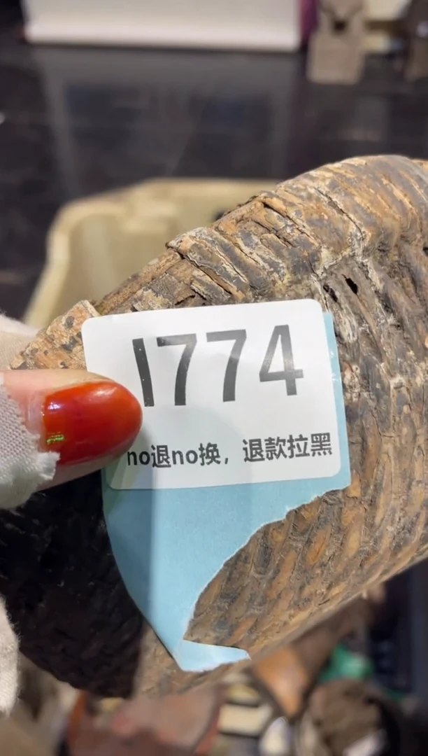 瓷片美**闲表姐直播链接火爆热卖