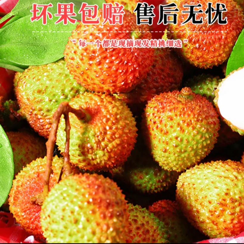 【只发18g+精选大果】正宗妃子笑荔枝核小肉厚香甜多汁中通冷链直发