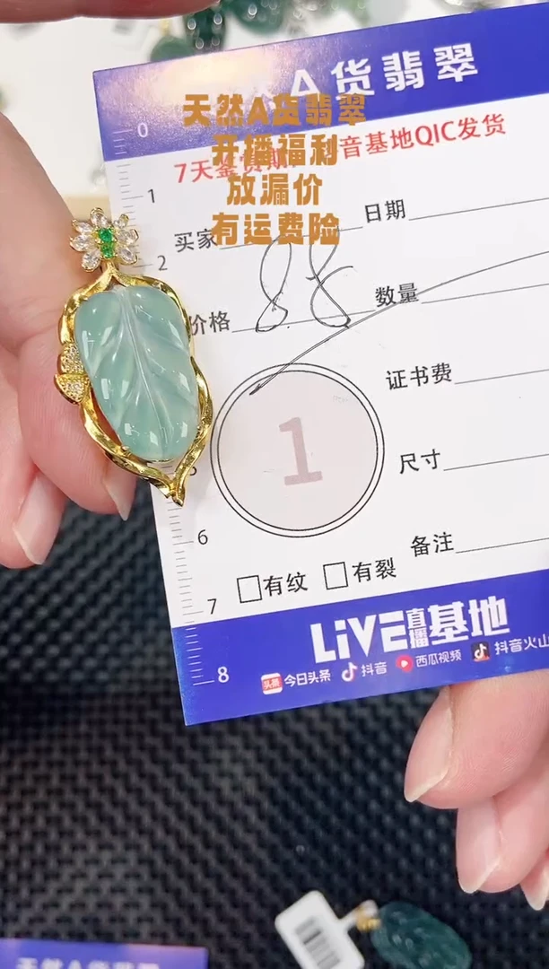 颈饰未镶嵌翡翠天然A货翡翠挂件