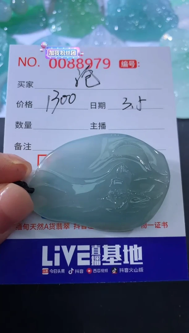 【闪购商品】翡翠颈饰未镶嵌沧