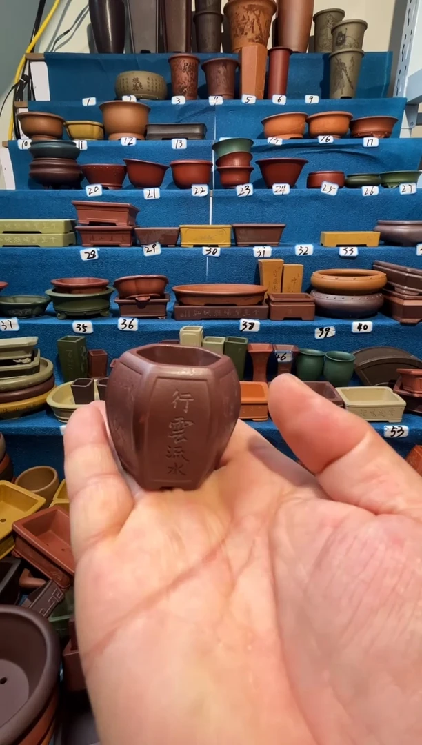 【闪购商品】紫砂紫砂花盆3*4