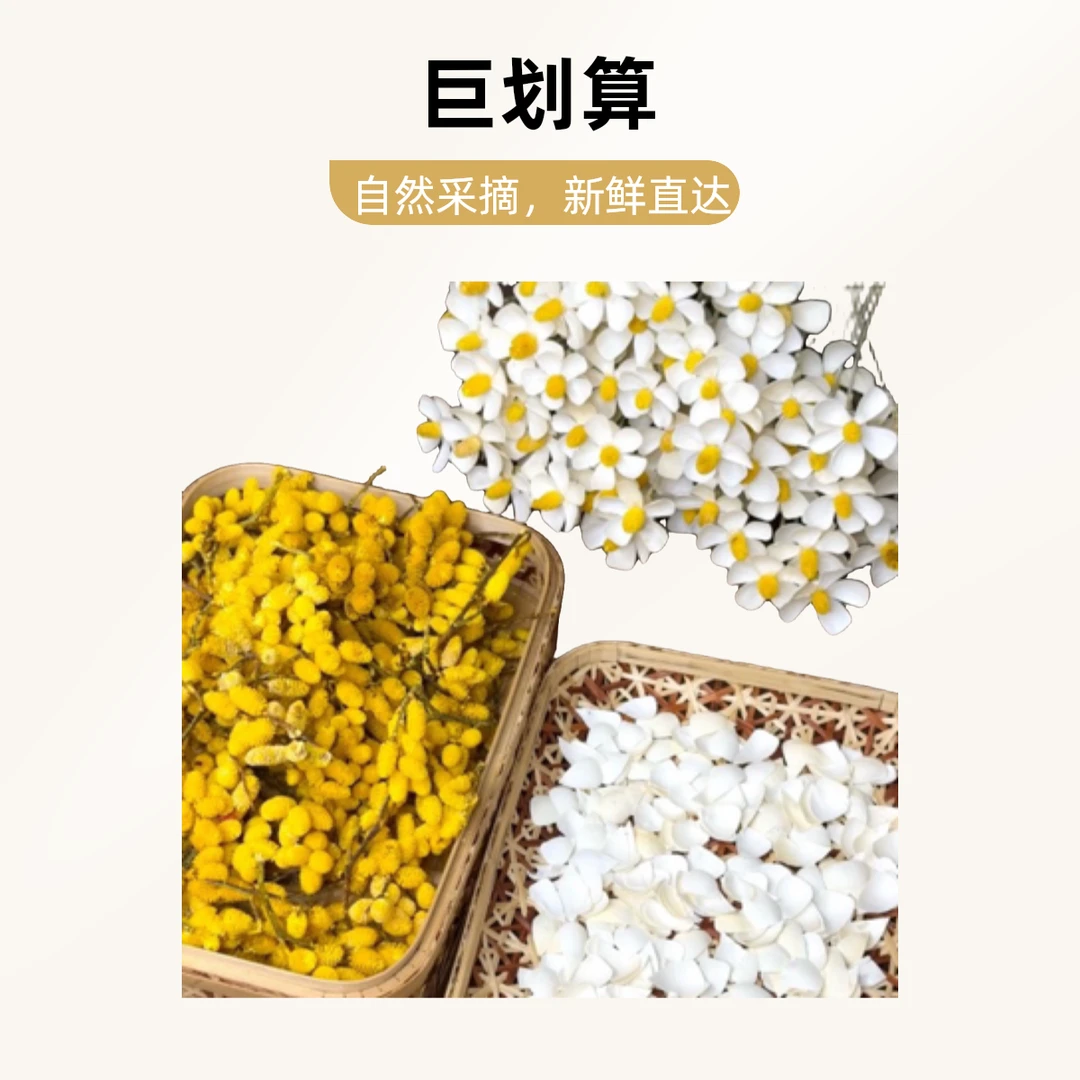 紫罗兰永生花纯天然纯手工制作 搭配花束简约小清新