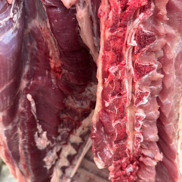 川西高原3500米海拔纯放养藏香猪肉猪腿肉