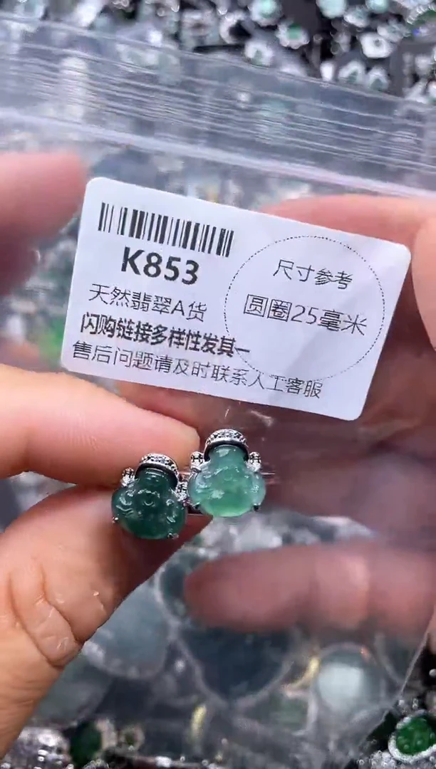 【闪购商品】翡翠颈饰未镶嵌K853戒指 多样性发其一