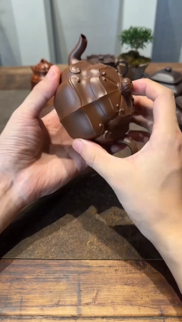 茶壶紫砂昆**约向阳而生