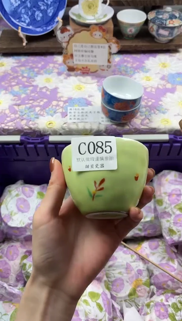 瓷片小***鱼                C085