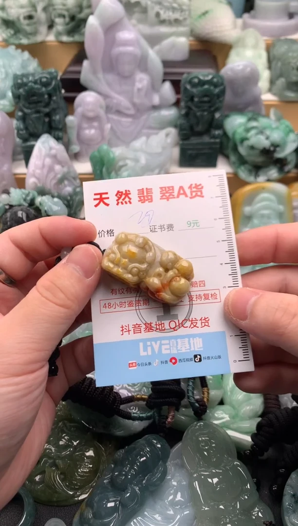 吊坠(不含链)未镶嵌翡翠1
