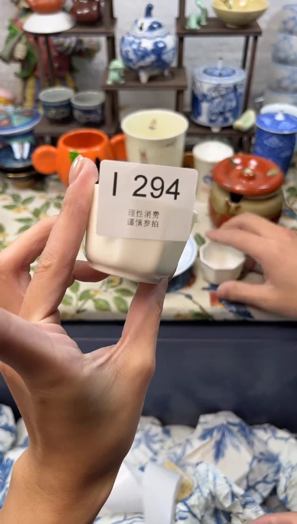 瓷片葆*    I294