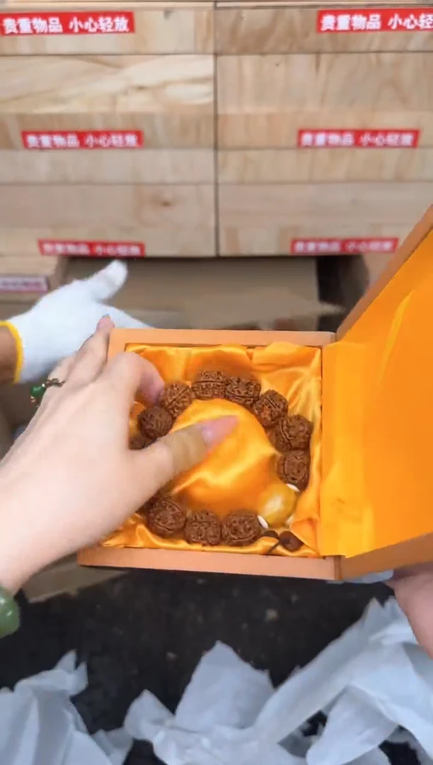 金刚菩提单圈@@SP010
