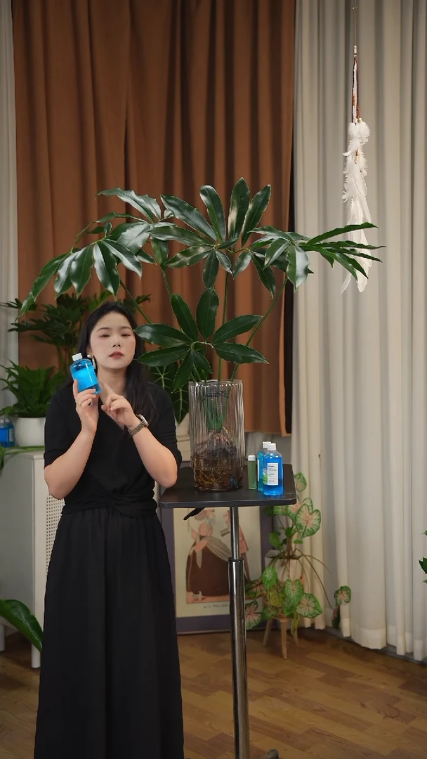 无花朵印第安羽毛