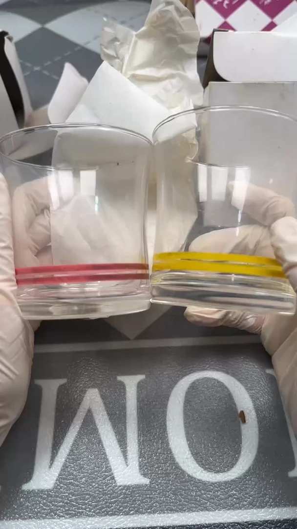 瓷片陶瓷如图所示周边