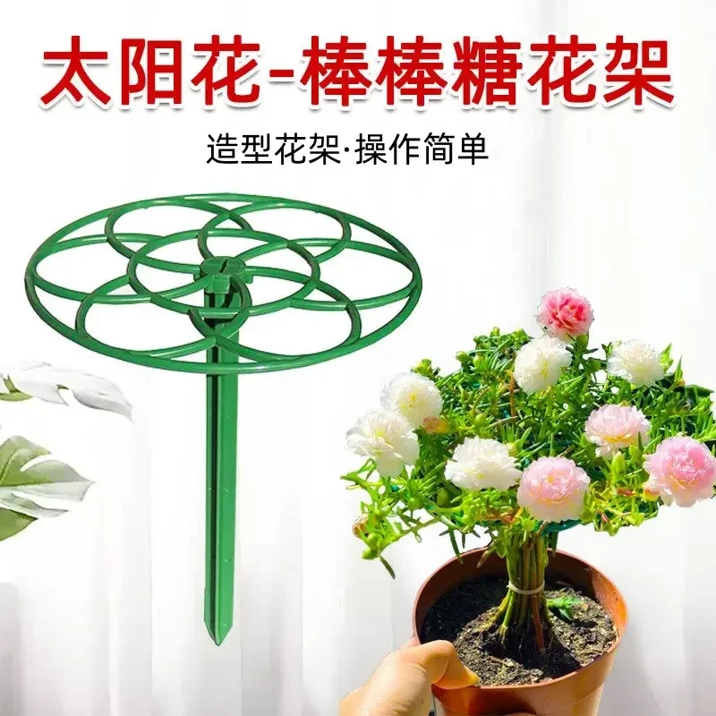 太阳花造型支架棒棒糖花架蟹爪兰爬藤植物固定支架防倒伏支撑杆子