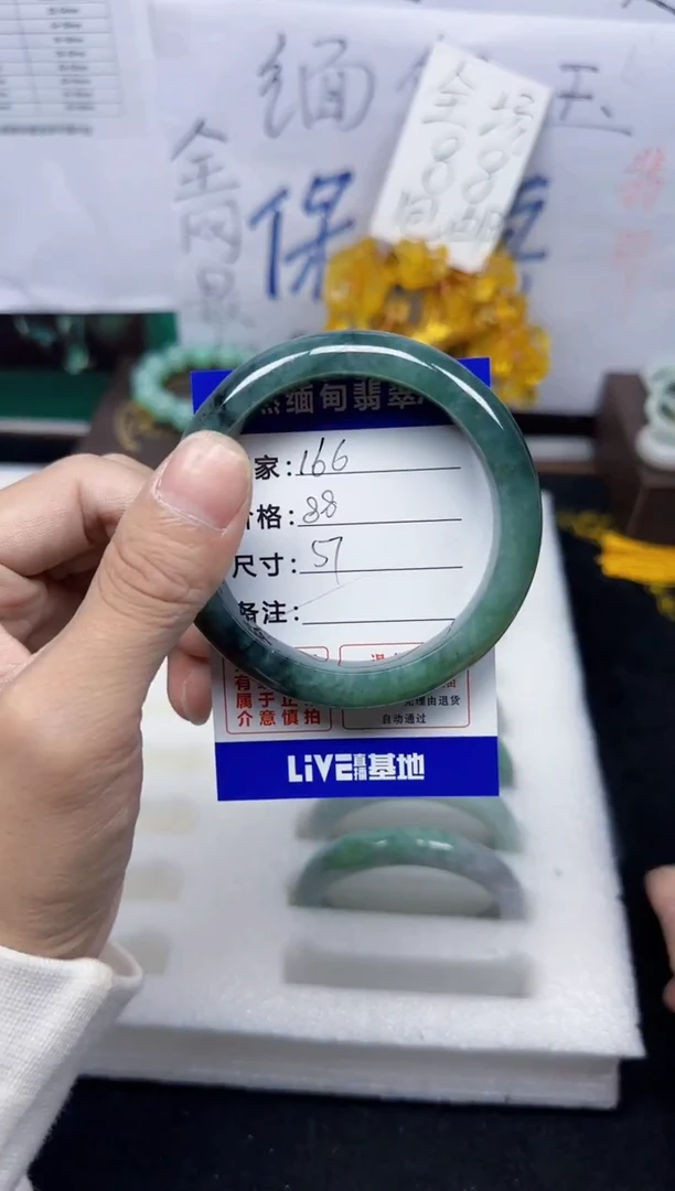 未镶嵌手镯翡翠166