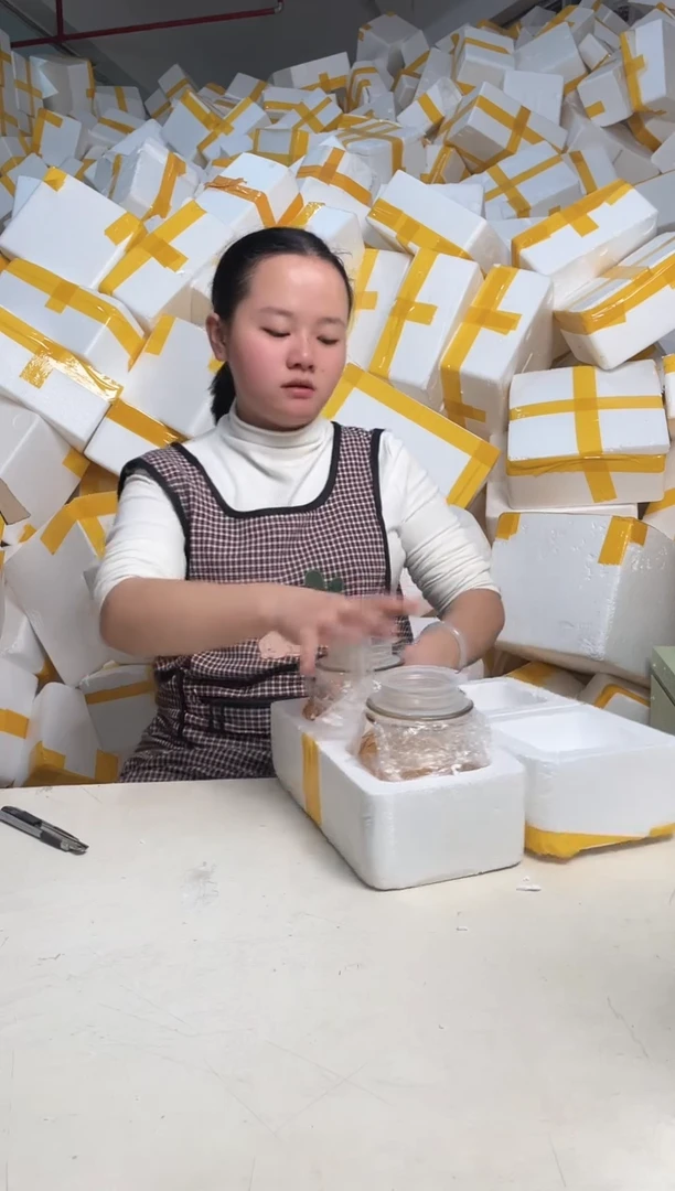 【闪购商品】瓷2.15-45