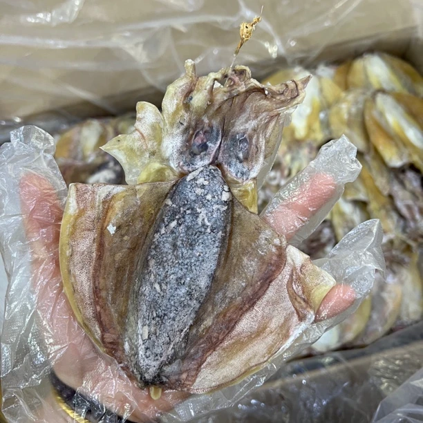 阳江本地渔民自晒淡干淡晒墨鱼干炖汤滋补