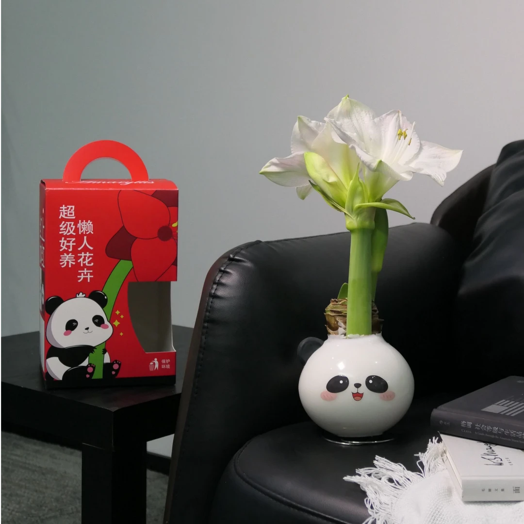 熊猫宝宝“开花”啦！朱顶红蜡球·懒人治愈系家居办公萌物