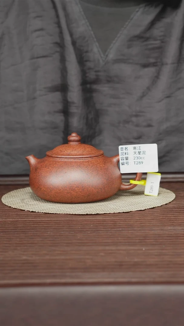 茶壶紫砂T289天星泥230cc 寒江