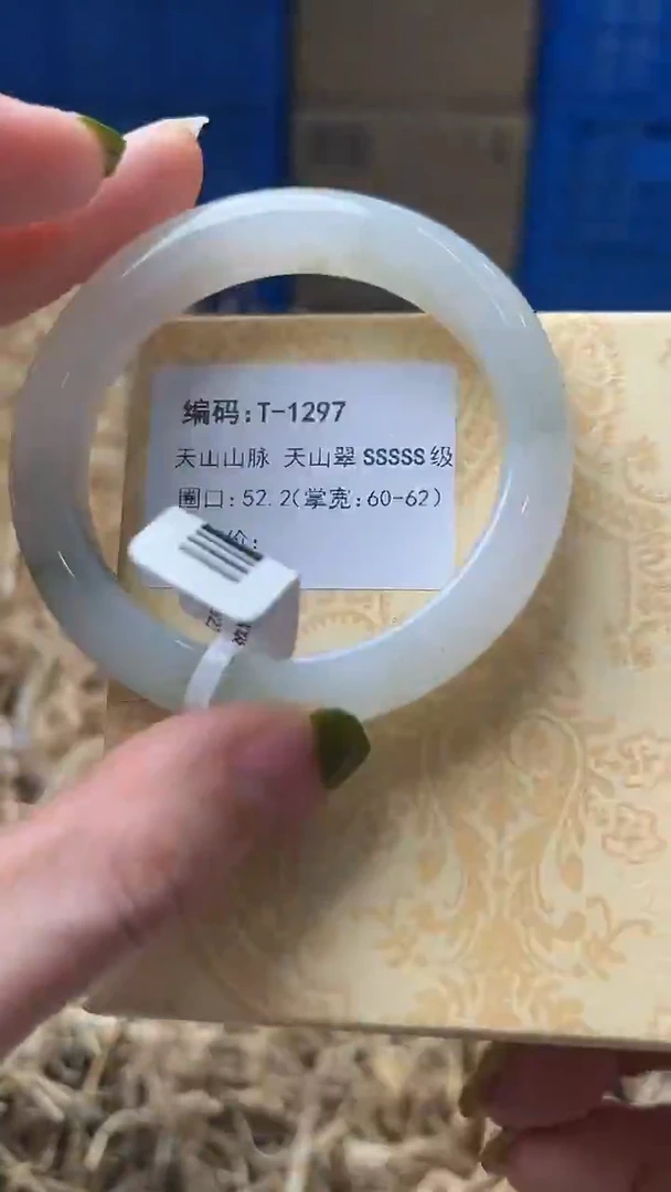 未镶嵌手镯石英质玉T1297