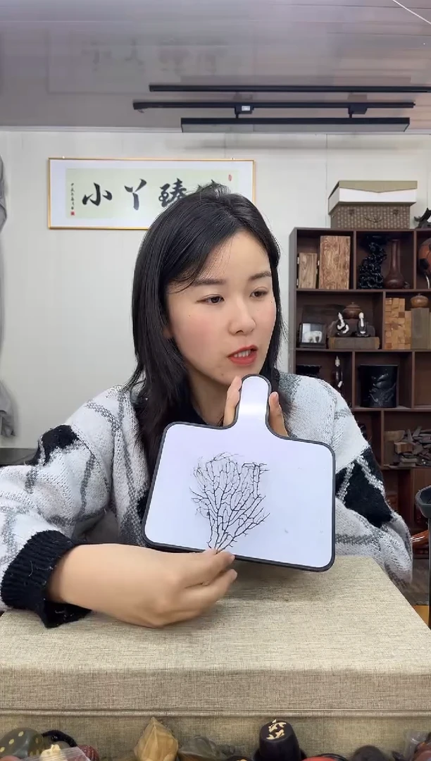 【闪购商品】木0521木木海树摆件木木木木