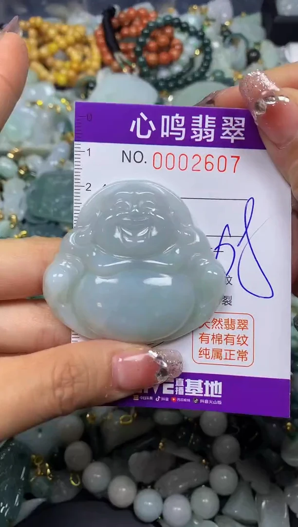 【闪购商品】翡翠颈饰未镶嵌闪购002607