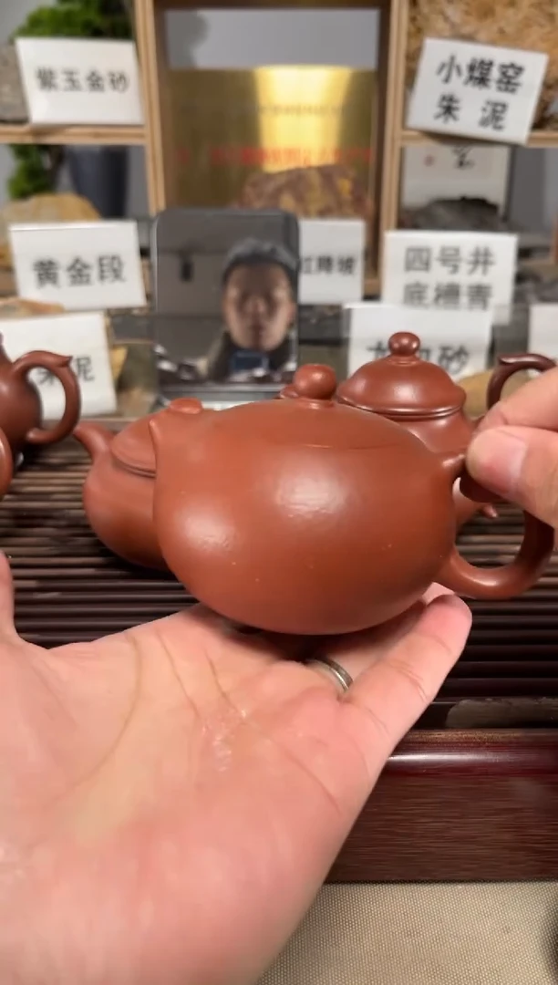 【闪购商品】紫砂茶壶全手降坡西施