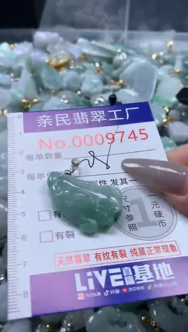 颈饰未镶嵌翡翠9745