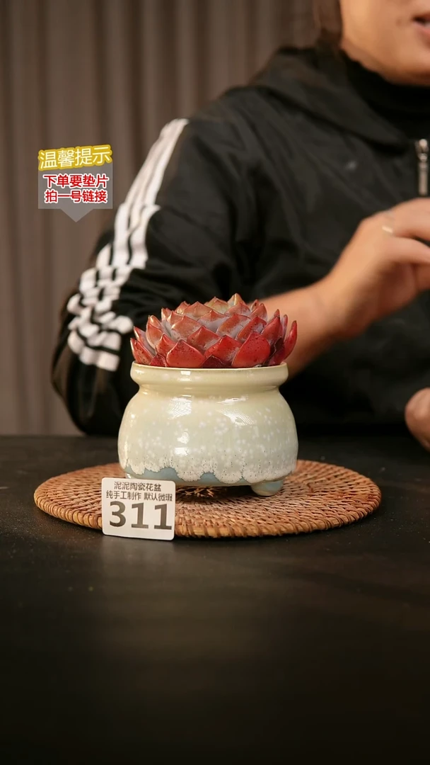 瓷片311内口径约8  外高约8