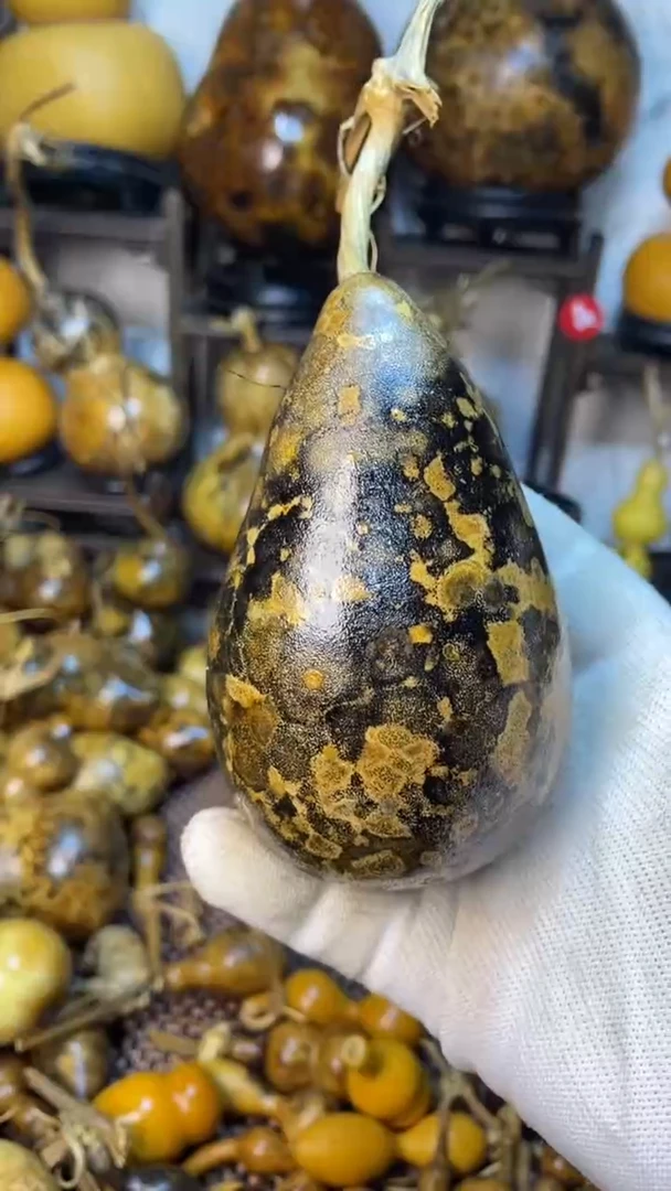 【闪购商品】葫芦葫芦葫芦葫芦